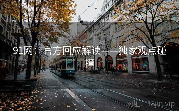 91网：官方回应解读——独家观点碰撞