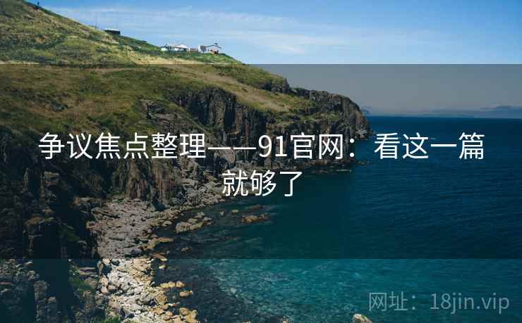 争议焦点整理——91官网：看这一篇就够了